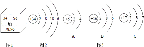 硒的營(yíng)養(yǎng)學(xué)價(jià)值