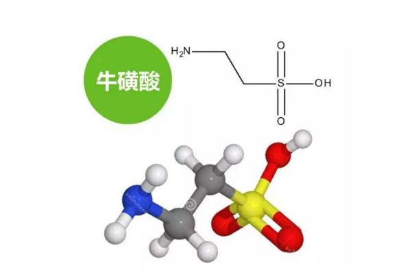 食品或飲料中的牛磺酸對人的記憶力有好處