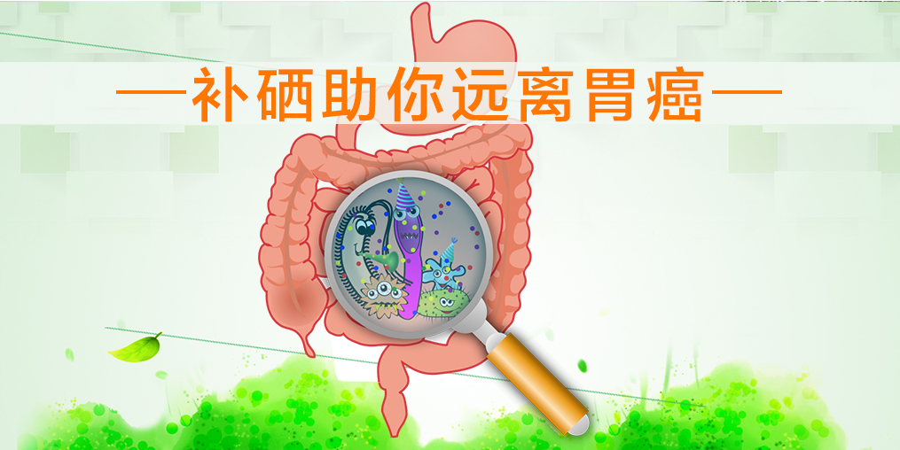多補硒可降低萎縮性胃炎癌變的機率嗎？