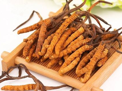 蟲草素？冬蟲夏草里的蟲草素是什么？